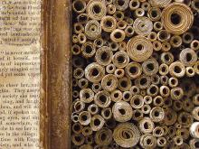 The Library of Alexandria